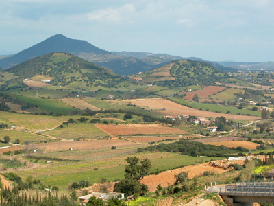 Il paesaggio a mosaico che caratterizza il territorio dell’Ogliastra e, in genere, la viticoltura di montagna.
