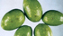 Olive punte dalla Bactrocera oleae. Le punture fertili hanno contorni netti di colore violaceo e forma triangolare.