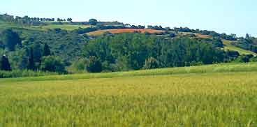 Ambiente e territorio