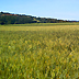 Prove dimostrative annata agraria 2007 2008