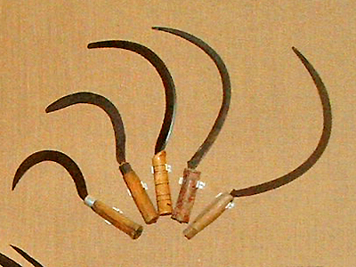 Antichi arnesi da lavoro utilizzati per la mietitura del grano esposti nel museo del grano di Ortacesus.