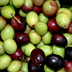 La Sardegna si riscatta al Premio nazionale per l'olio extravergine d'oliva Montiferru