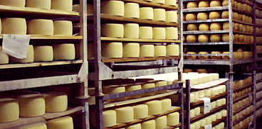 Pecorino sardo Dop