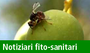Notiziari agrometeorologici