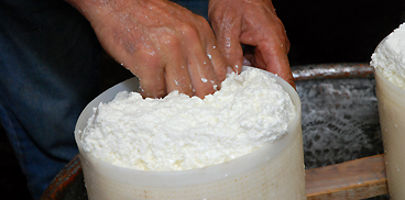Lavorazione artigianale di formaggio