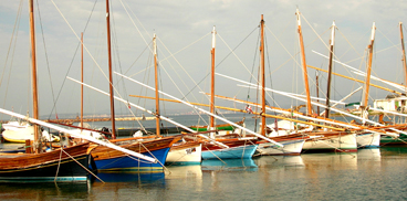 Imbarcazioni nel porto di Calasetta 