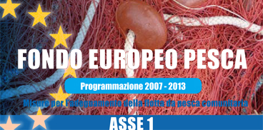Misure per l’adeguamento della flotta da pesca comunitaria - Asse 1 del FEP 2007-2013
