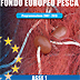 Misure per l’adeguamento della flotta da pesca comunitaria - Asse 1 del FEP 2007-2013