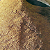Residui lavorazione frantoi oleari: cumulo di nocciolino