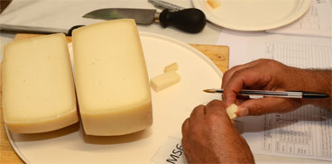 Concorso regionale formaggi caprini della Sardegna