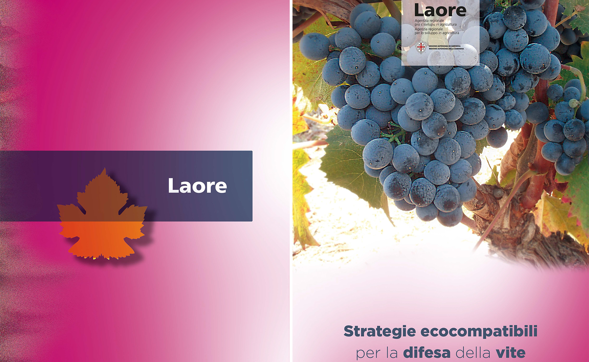 Strategie ecocompatibili per la difesa della vite Strategie ecocompatibili per la difesa della vite