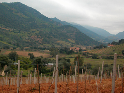 L’ecosistema viticolo di montagna