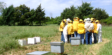 Giornate informative nel settore dell'apicoltura