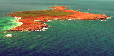 Isola di Mal di Ventre, foto aerea
