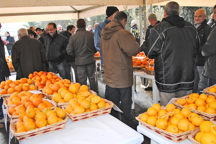 Seminario agrumicoltura, Villasor 14 febbraio 2012 