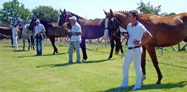 Settimana del Cavallo in Sardegna