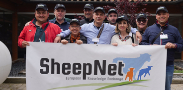 progetto SHEEPNET