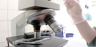 vai alla pagina: Laboratorio analisi latte