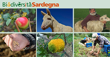Immagini di agrobiodiversità