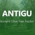 Antigu